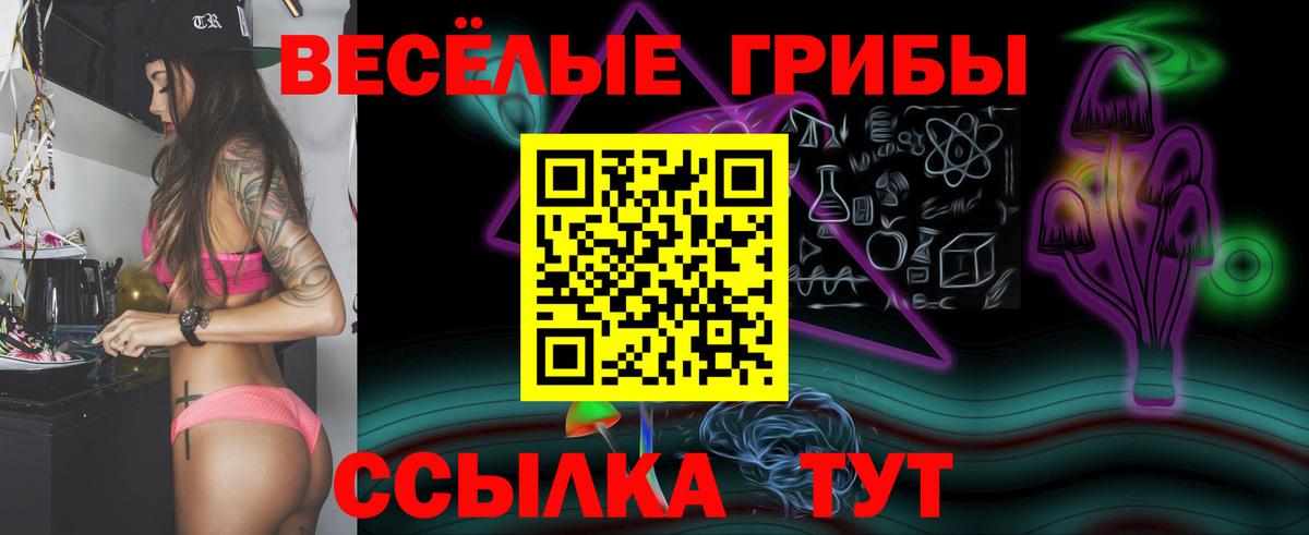 Жуковский  Галлюциногенные грибы прущие грибы  Вход с VPN  Псилоцибиновые грибы Psilocybine cubensis 